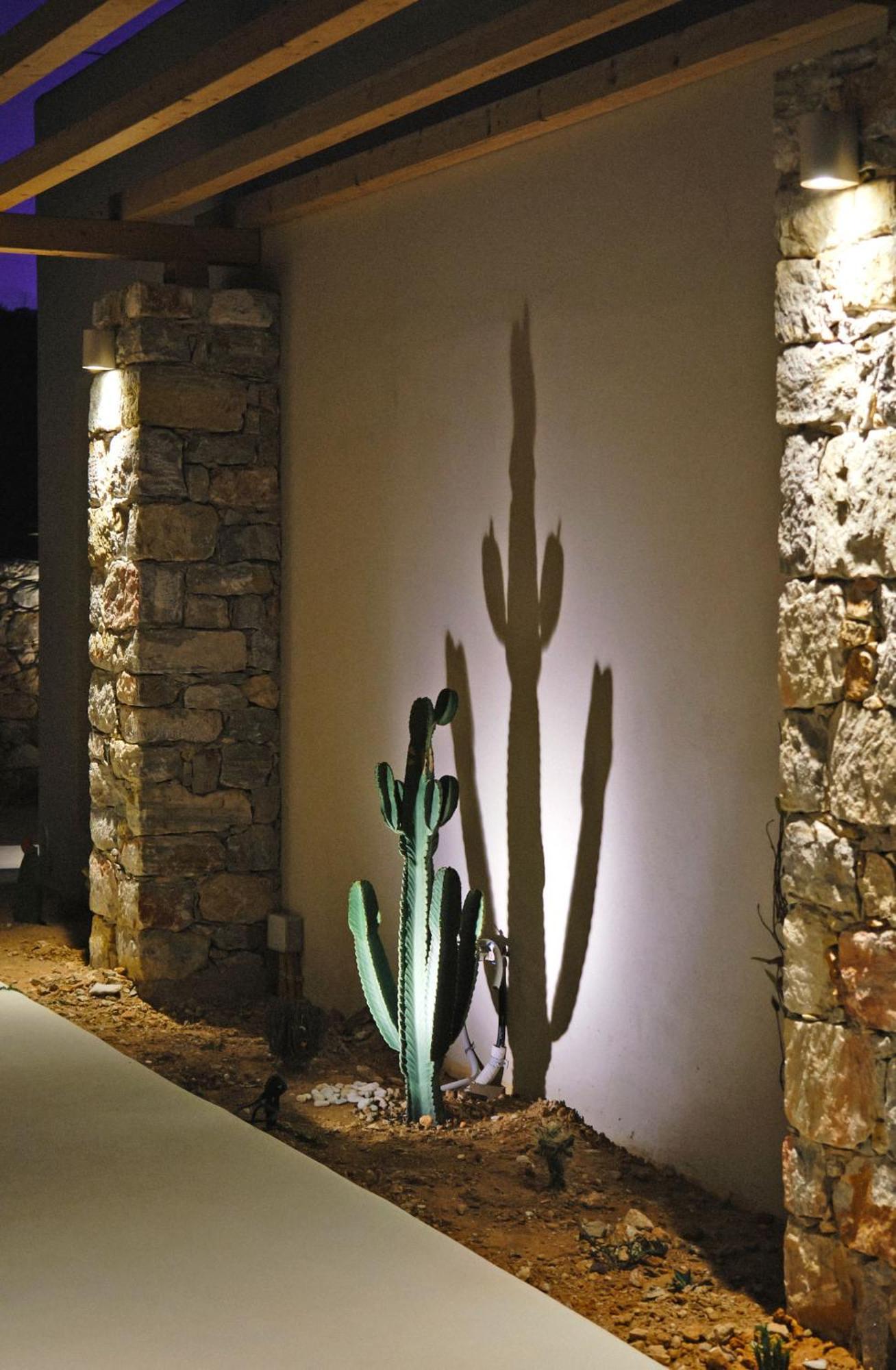 Agave Donousa Suites Bagian luar foto